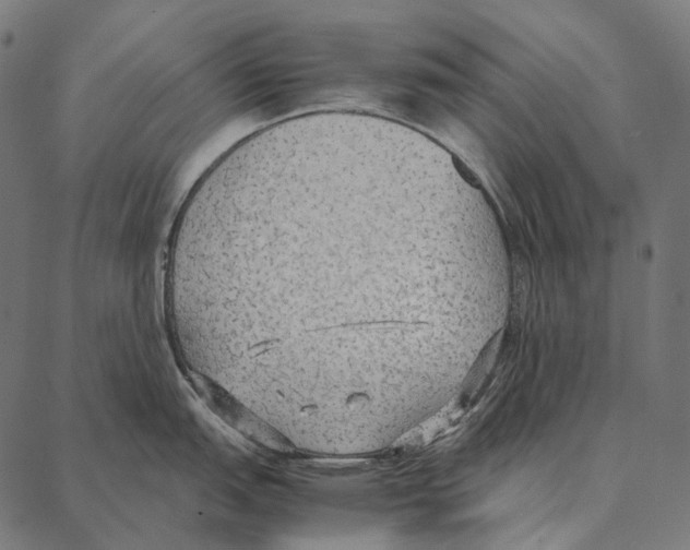 X0000087361151200705181145