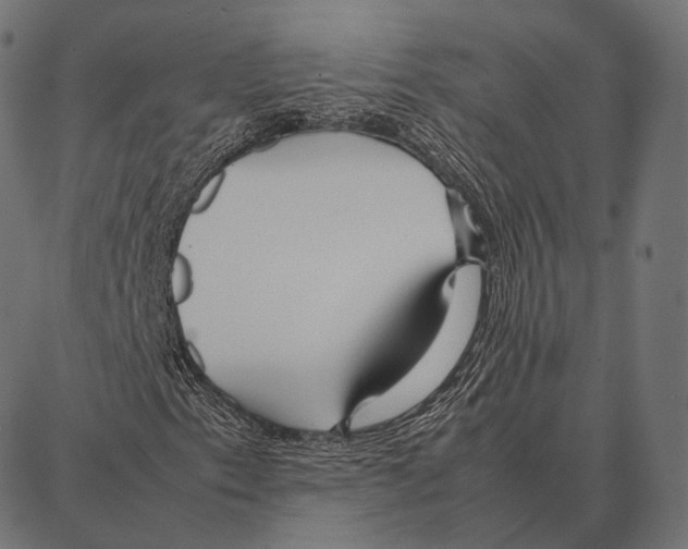 X0000087361153200705181144