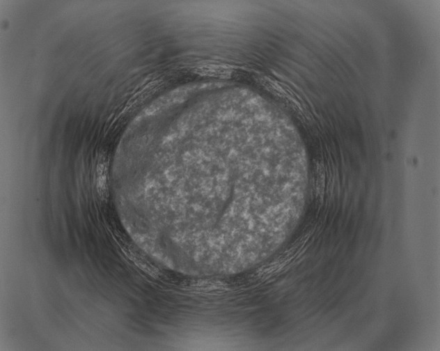 X0000087361154200705181144