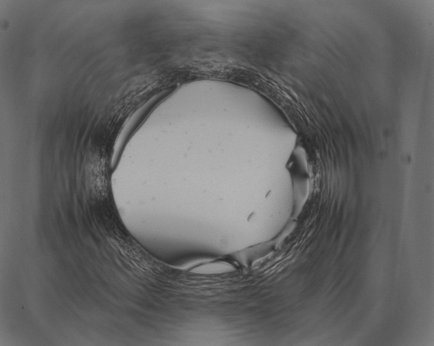 X0000087361156200705181144