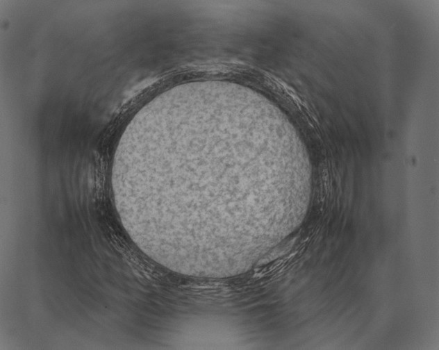 X0000087361158200705181144