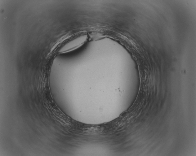 X0000087361160200705181144