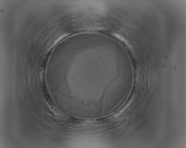 X0000087361161200705181144