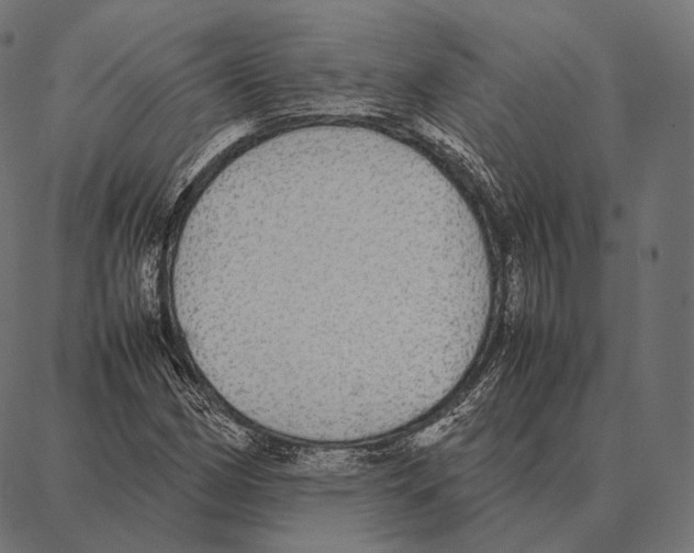 X0000087361162200705181144