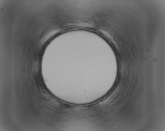 X0000087361163200705181144