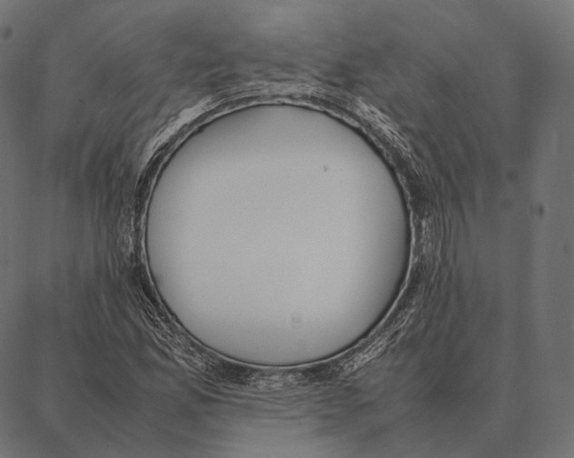 X0000087361165200705181144