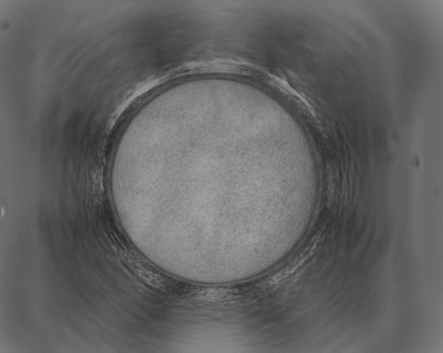 X0000087361166200705181144