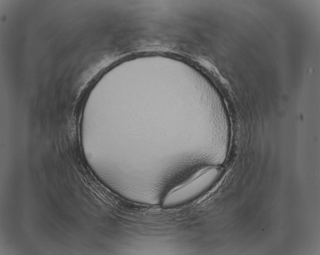 X0000087361167200705181144