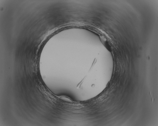 X0000087361168200705181144