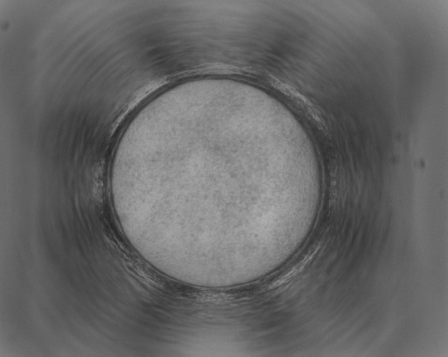 X0000087361170200705181144