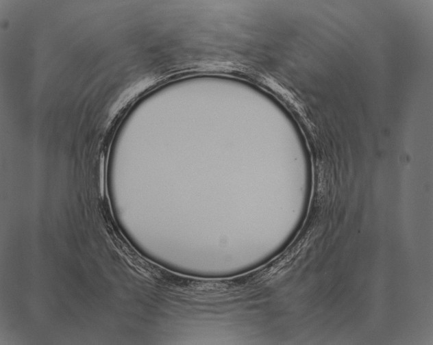 X0000087361171200705181144