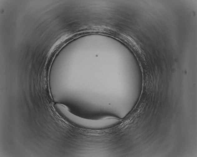 X0000087361172200705181144