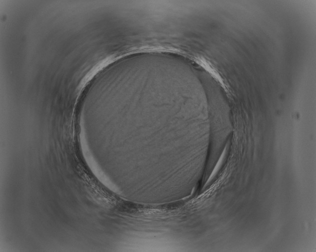 X0000087361173200705181144