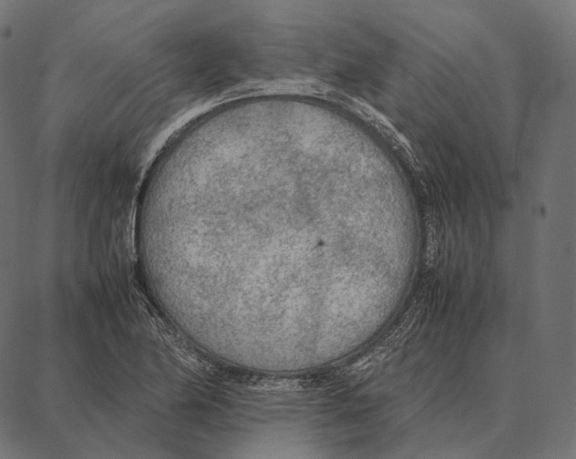 X0000087361174200705181144