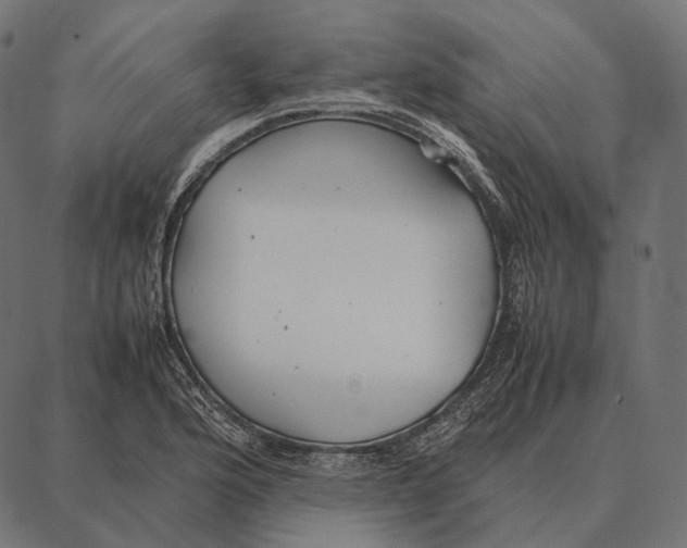 X0000087361176200705181144