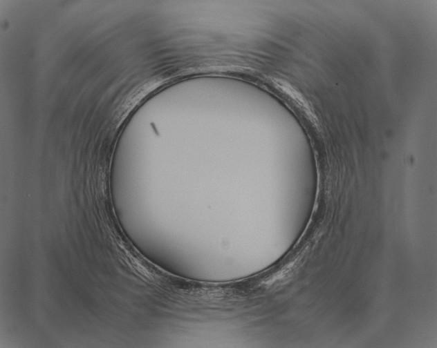 X0000087361177200705181144