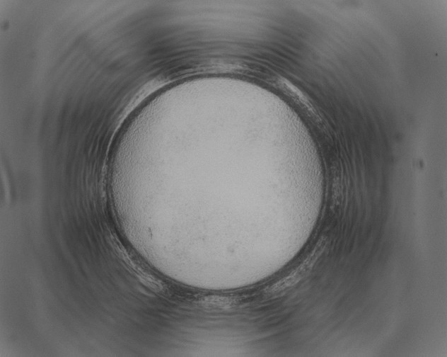 X0000087361178200705181144