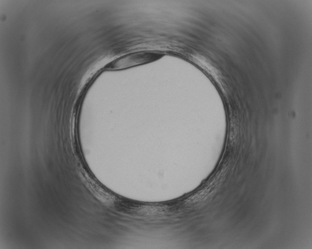 X0000087361179200705181144