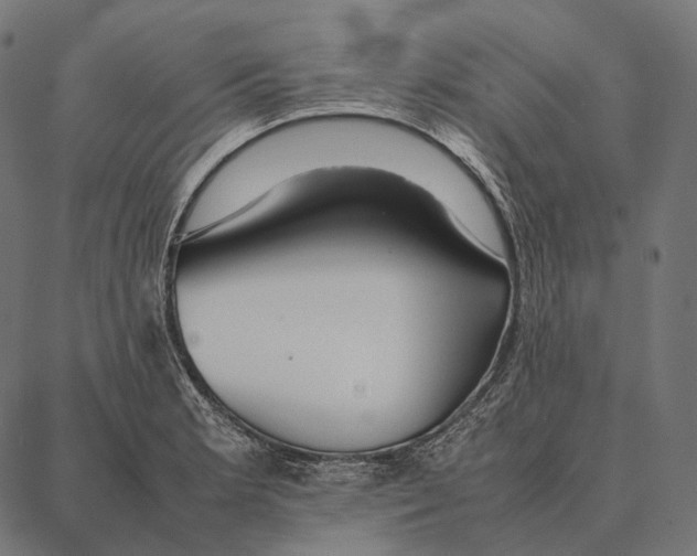 X0000087361181200705181144