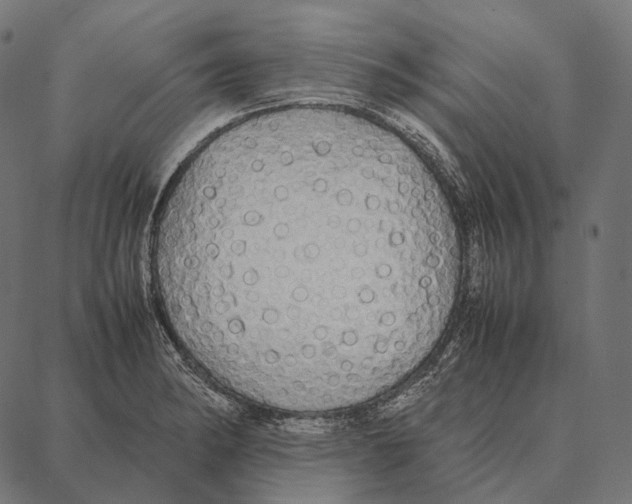 X0000087361182200705181144