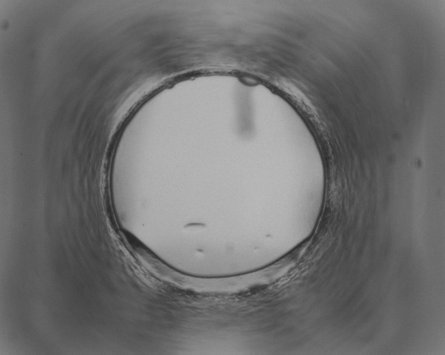 X0000087361183200705181144