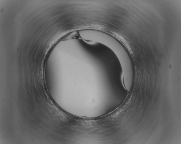 X0000087361184200705181144