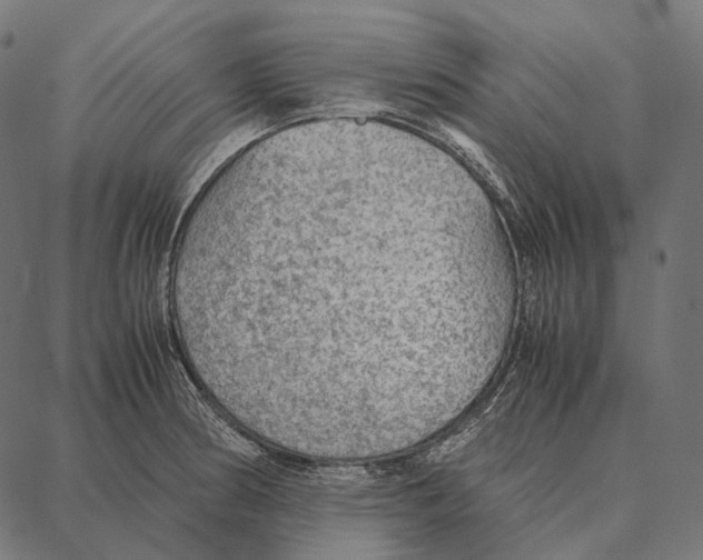 X0000087361186200705181144