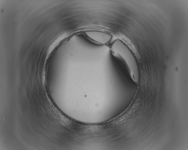 X0000087361188200705181144