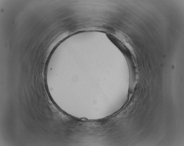 X0000087361189200705181144