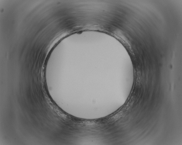 X0000087361190200705181144