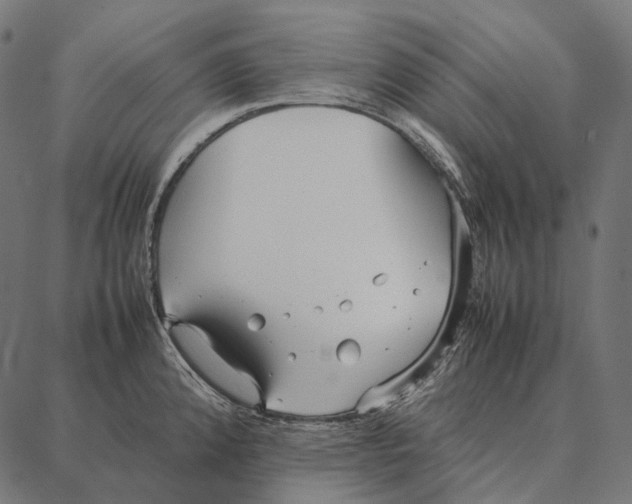 X0000087361192200705181144