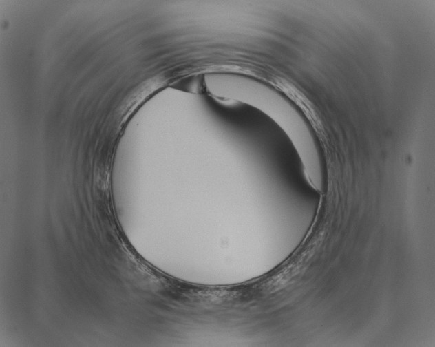 X0000087361193200705181144