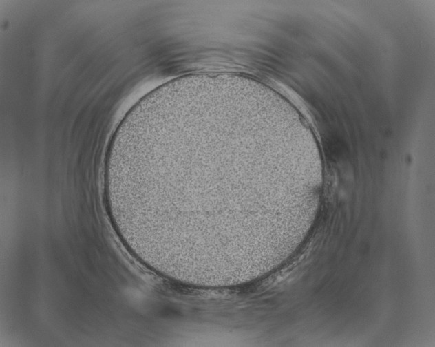 X0000087361195200705181144