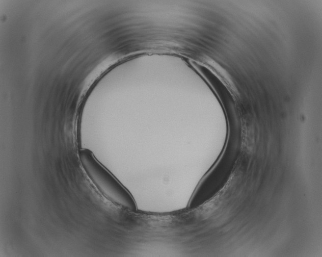 X0000087361196200705181144