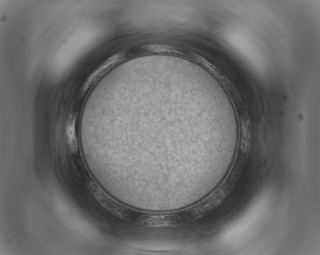 X0000087361198200705181144