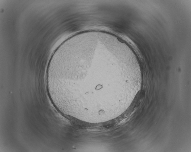 X0000087361199200705181144