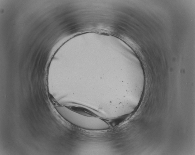 X0000087361200200705181143