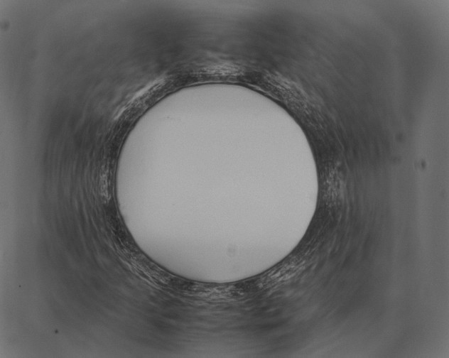 X0000087361205200705181143