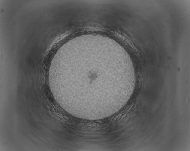 X0000087361207200705181143