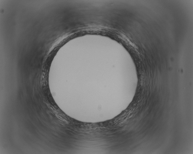 X0000087361208200705181143