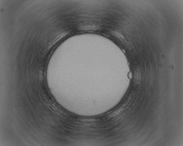 X0000087361209200705181143