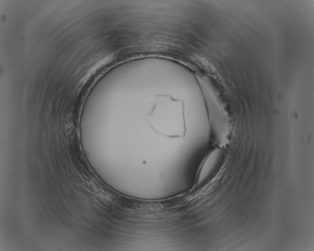 X0000087361210200705181143