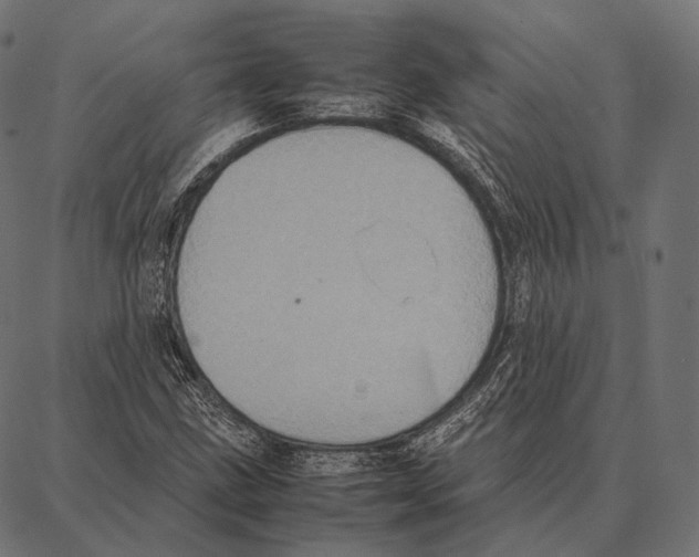 X0000087361211200705181143