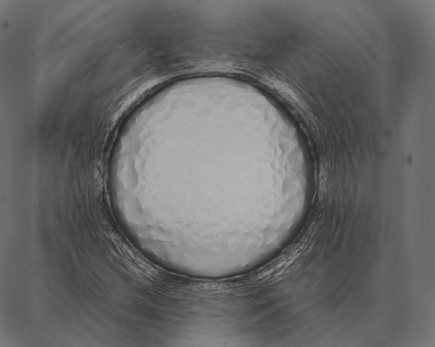 X0000087361212200705181143