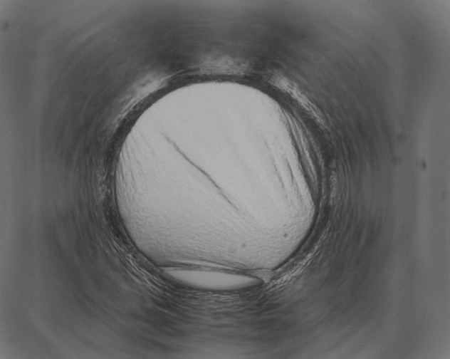 X0000087361213200705181143