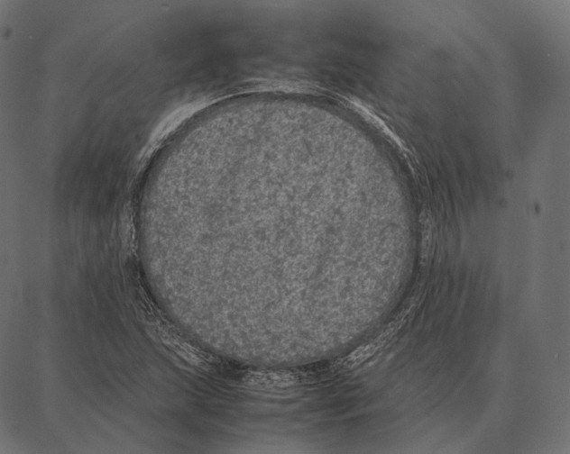 X0000087361215200705181143