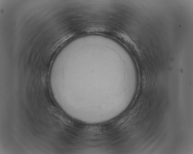 X0000087361217200705181143