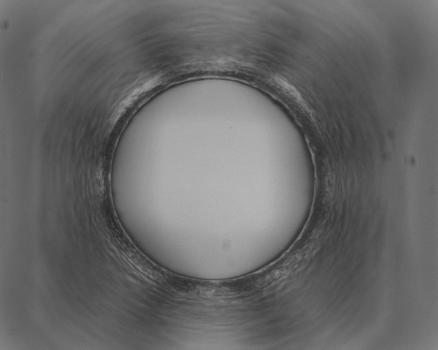 X0000087361218200705181143