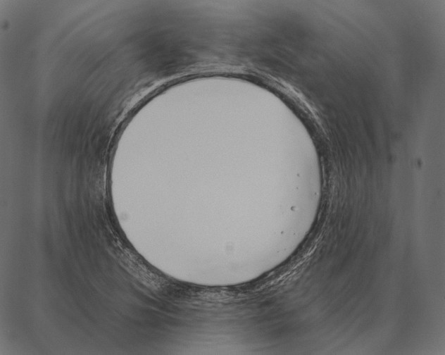 X0000087361220200705181143