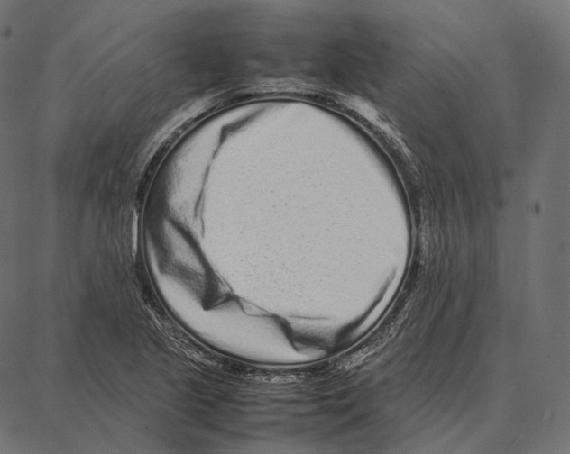 X0000087361221200705181143